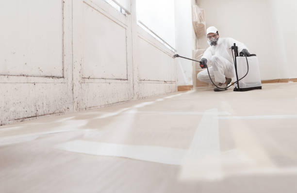 24/7 Emergency Mold Removal experts in Hickory Corners, MI